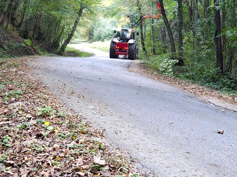 Orezivanje granja uz ceste