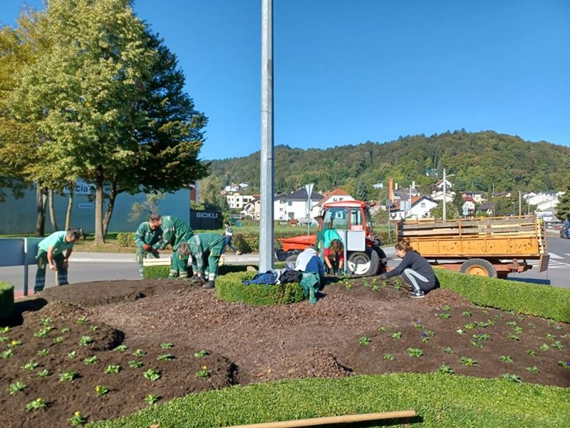 Žardinjere s cvijećem u bojama Samoborske glazbene jeseni