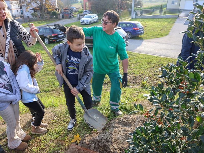 Samobor nastavlja sa sadnjom stabala