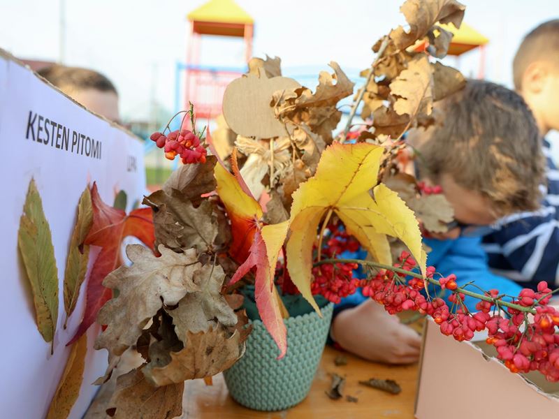 Samobor nastavlja sa sadnjom stabala