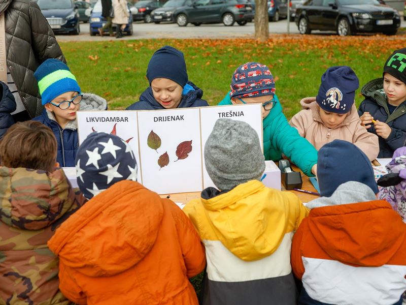 Samobor nastavlja sa sadnjom stabala