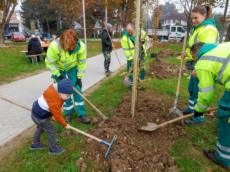 Samobor nastavlja sa sadnjom stabala