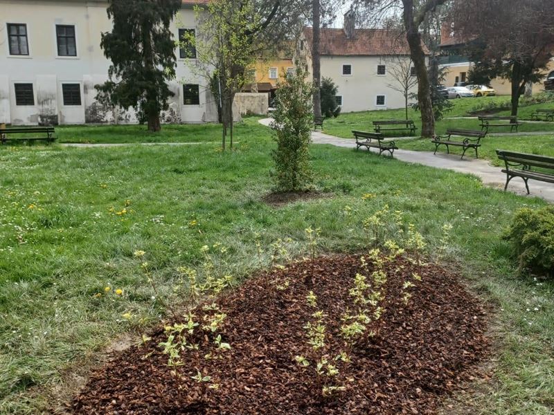 Sadnja za Dan planeta Zemlje