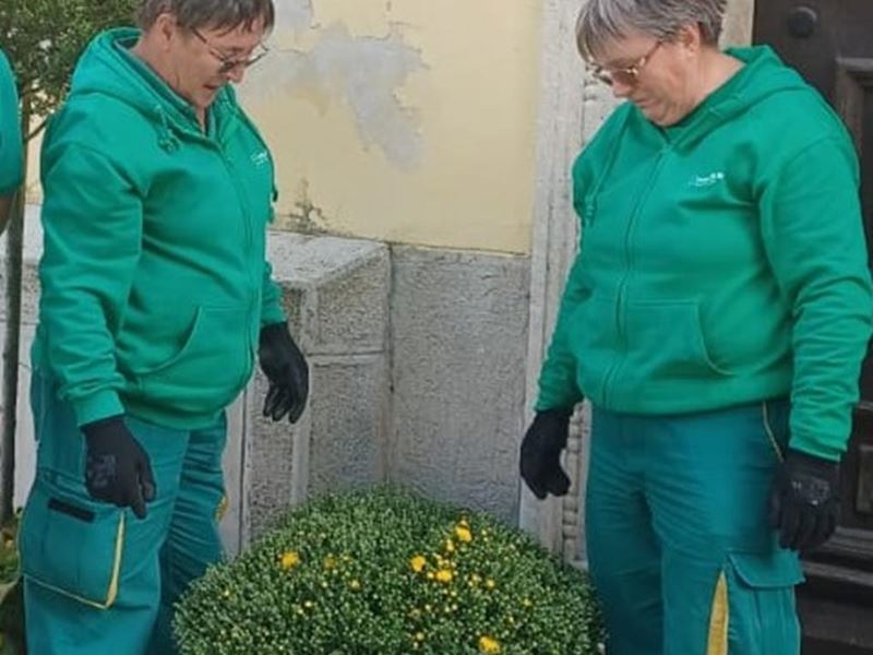 Cvijeće u bojama Samoborske glazbene jeseni