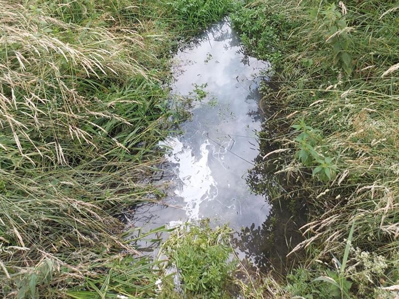 4. larvicidni tretman suzbijanja komaraca