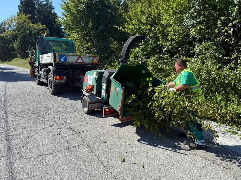 Orezivanje granja uz ceste