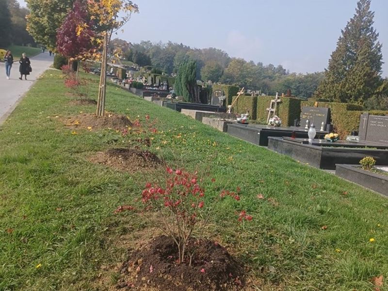 Sadnja stabala, ukrasnog grmlja i proljetnica