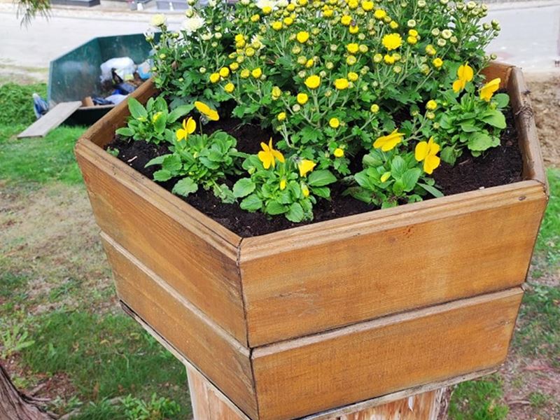 Sadnja stabala, ukrasnog grmlja i proljetnica