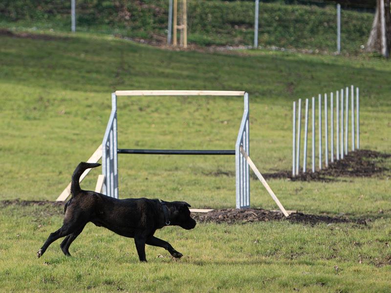 Otvoren novouređeni park za pse