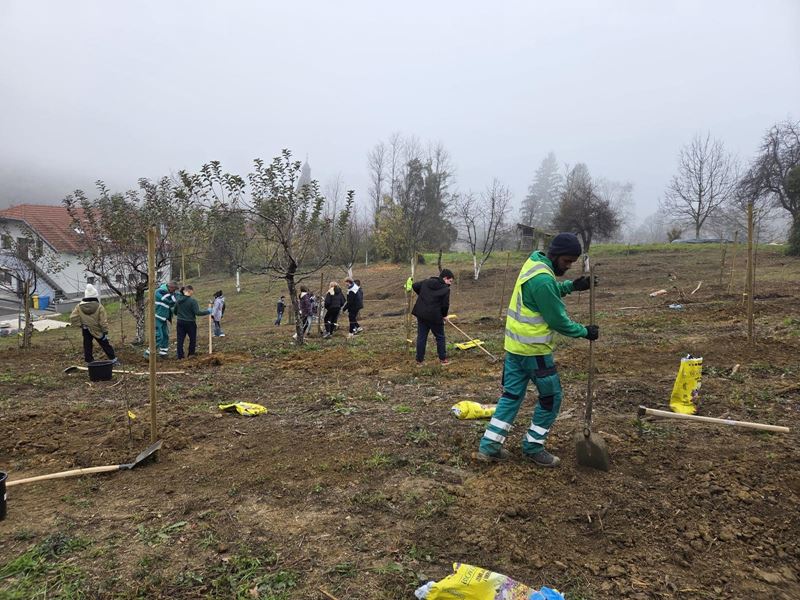 Jesenska sadnja s učenicima