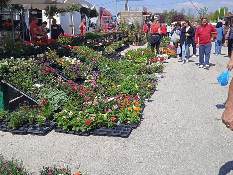 Rekordan broj posjetitelja na sajmištu