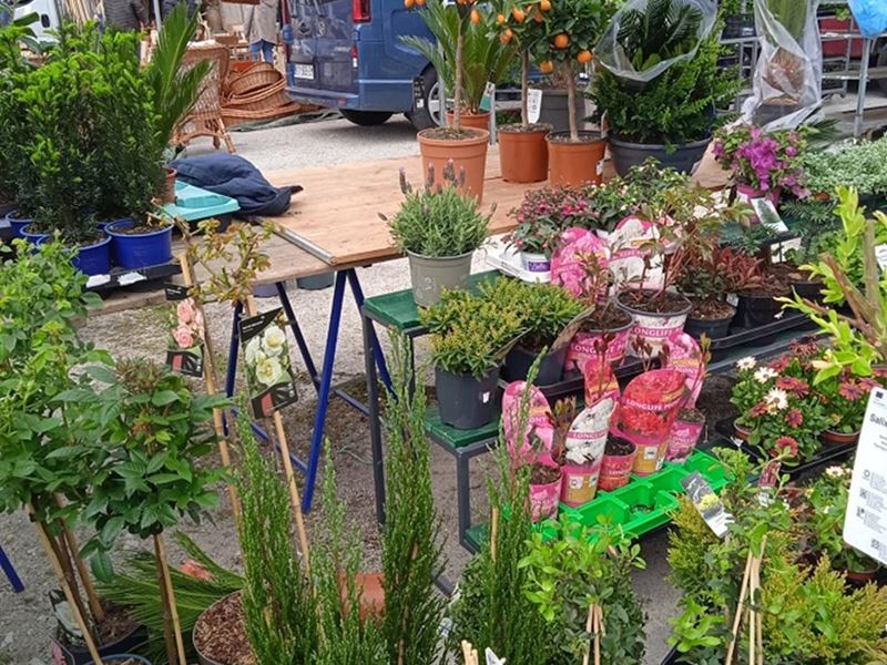 Prodaja cvijeća i sadnica na sajmištu