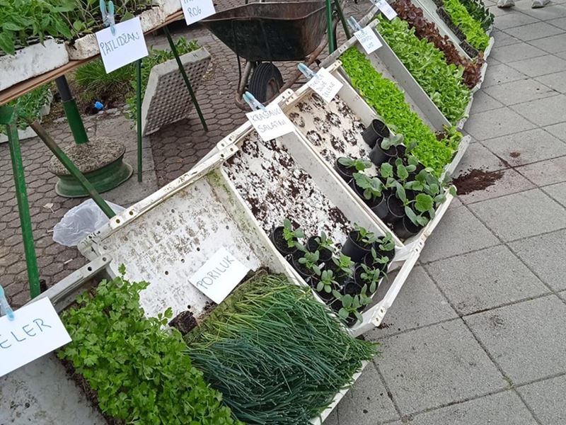 Prodaja cvijeća i sadnica na sajmištu