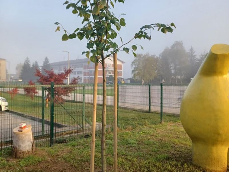 Sadnja stabala, ukrasnog grmlja i proljetnica