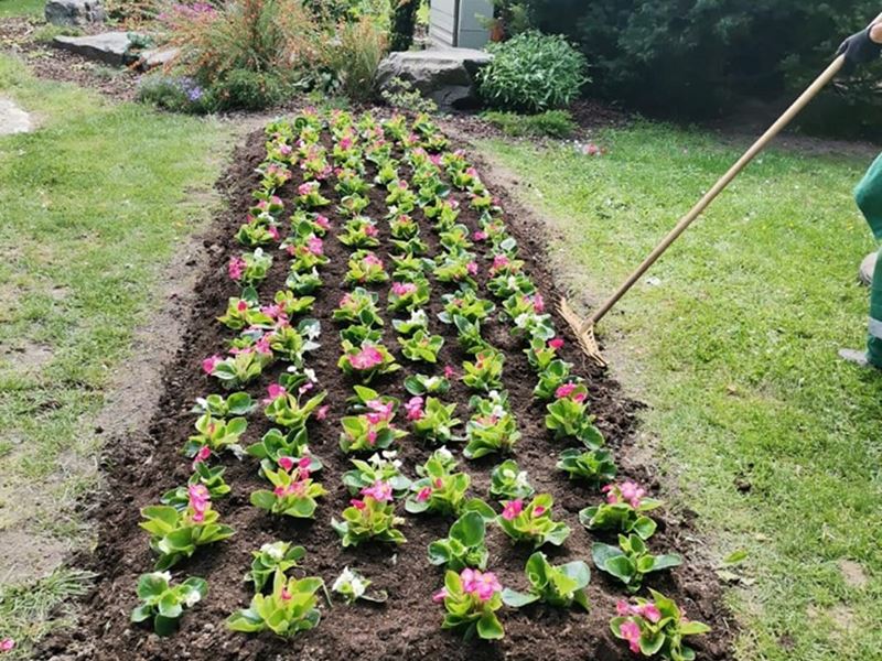 Rotor s licitarskim srcima