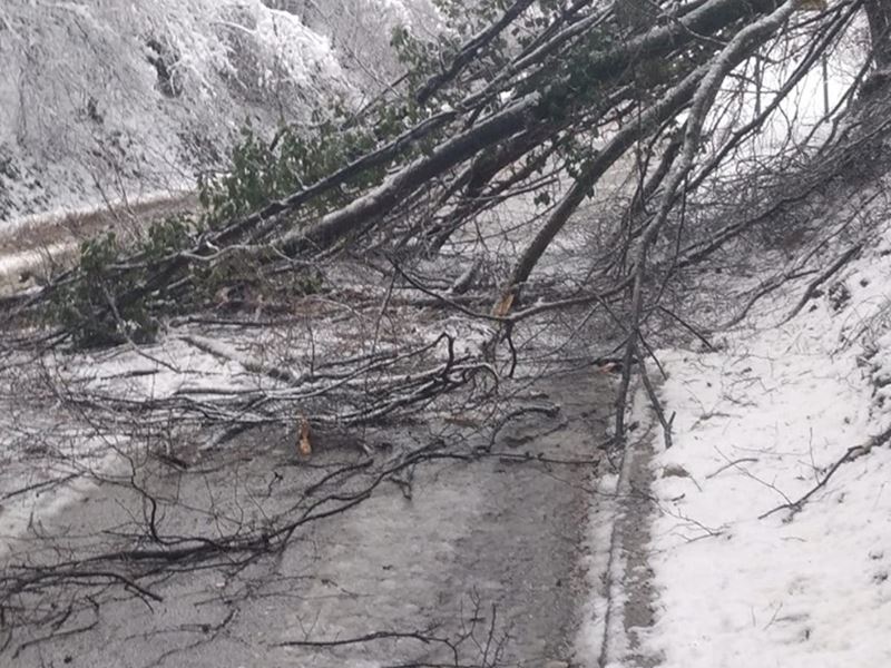 Zimska služba i dalje na terenu