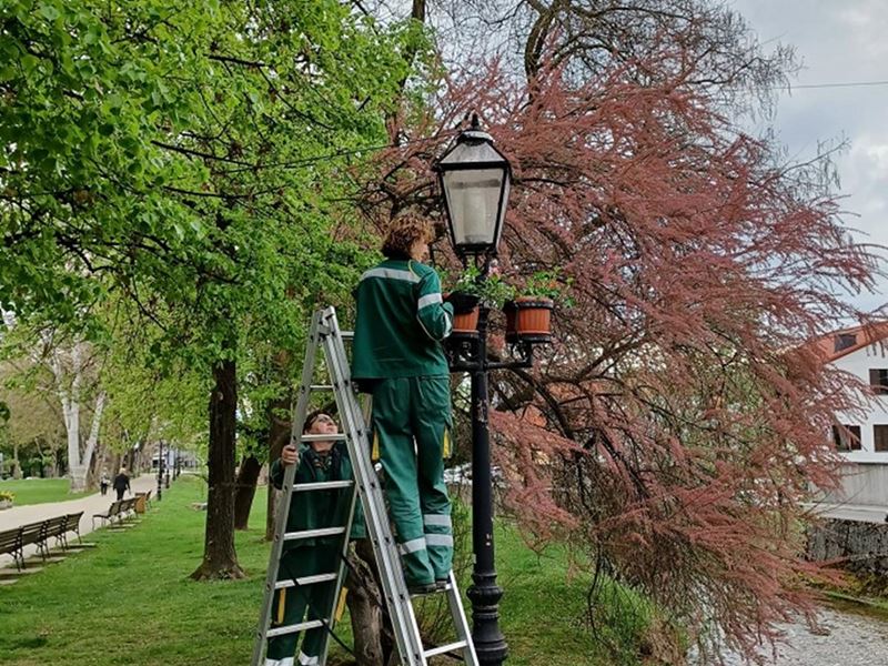 Postava žardinjera u centru grada